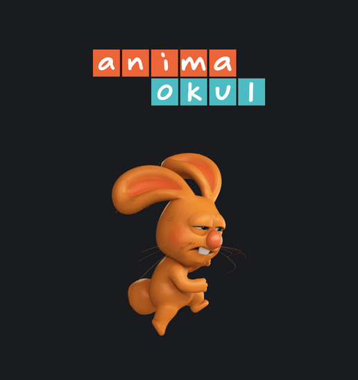 Anima Okul